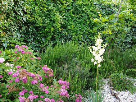 Backyard garden