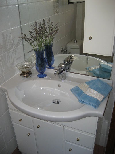 Bathroom sink and cupboards