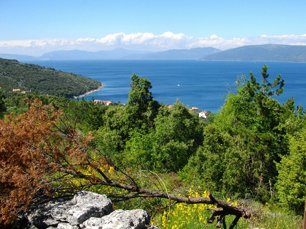 Valun, Island Cres view from above